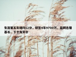 生涯第五年场均12分，却签4年9700万，篮网选错基石，下个戈贝尔