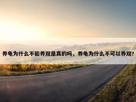 养龟为什么不能养双是真的吗，养龟为什么不可以养双?