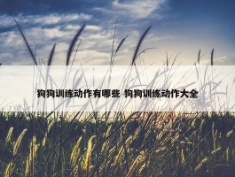 狗狗训练动作有哪些 狗狗训练动作大全