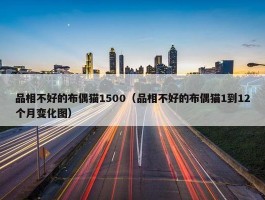 品相不好的布偶猫1500（品相不好的布偶猫1到12个月变化图）