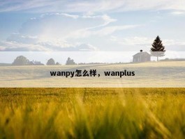 wanpy怎么样，wanplus