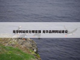 龙华网站优化哪家强 龙华品牌网站建设