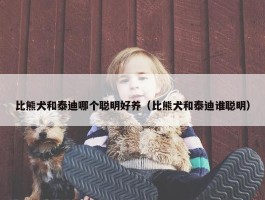 比熊犬和泰迪哪个聪明好养（比熊犬和泰迪谁聪明）