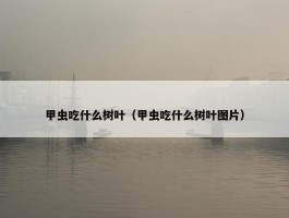 甲虫吃什么树叶（甲虫吃什么树叶图片）