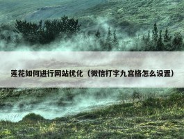 莲花如何进行网站优化（微信打字九宫格怎么设置）