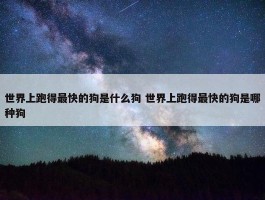 世界上跑得最快的狗是什么狗 世界上跑得最快的狗是哪种狗