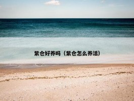 紫仓好养吗（紫仓怎么养活）