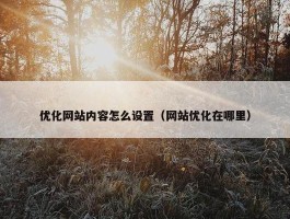 优化网站内容怎么设置（网站优化在哪里）