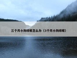 三个月小狗咳嗽怎么办（3个月小狗咳嗽）