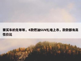 要买车的先等等，4款燃油SUV扎堆上市，款款都有高性价比