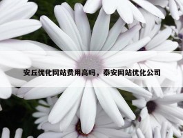 安丘优化网站费用高吗，泰安网站优化公司