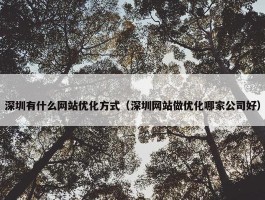 深圳有什么网站优化方式（深圳网站做优化哪家公司好）