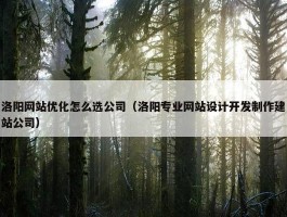 洛阳网站优化怎么选公司（洛阳专业网站设计开发制作建站公司）