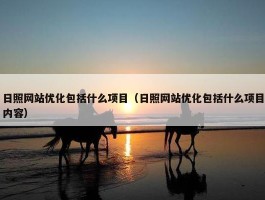 日照网站优化包括什么项目（日照网站优化包括什么项目内容）