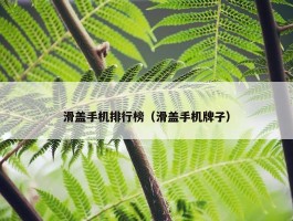 滑盖手机排行榜（滑盖手机牌子）