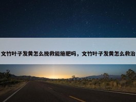 文竹叶子发黄怎么挽救能施肥吗，文竹叶子发黄怎么救治