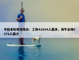 中超本轮现场观众：工体42804人最多，海牛主场5378人最少