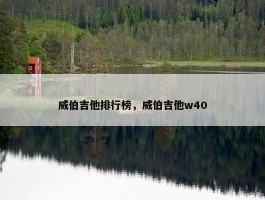 威伯吉他排行榜，威伯吉他w40