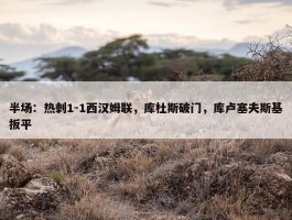 半场：热刺1-1西汉姆联，库杜斯破门，库卢塞夫斯基扳平