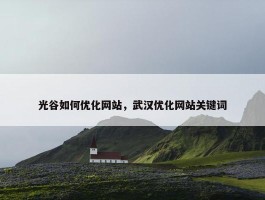 光谷如何优化网站，武汉优化网站关键词