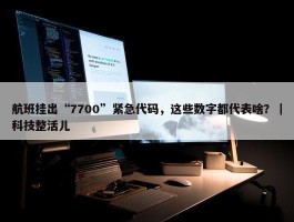 航班挂出“7700”紧急代码，这些数字都代表啥？｜科技整活儿