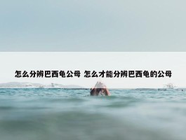 怎么分辨巴西龟公母 怎么才能分辨巴西龟的公母