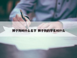 狮子狗叫什么名字 狮子狗的学名叫什么