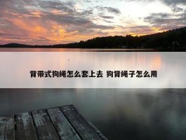 背带式狗绳怎么套上去 狗背绳子怎么用