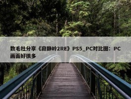 数毛社分享《寂静岭2RE》PS5_PC对比图：PC画面好很多