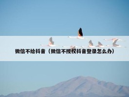 微信不给抖音（微信不授权抖音登录怎么办）