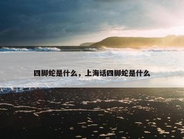 四脚蛇是什么，上海话四脚蛇是什么