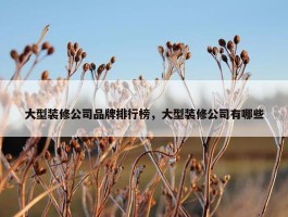 大型装修公司品牌排行榜，大型装修公司有哪些