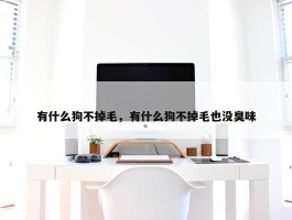 有什么狗不掉毛，有什么狗不掉毛也没臭味