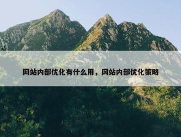 网站内部优化有什么用，网站内部优化策略