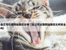 自己可以做网站做优化吗（自己可以做网站做优化吗安全吗）