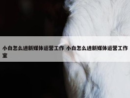 小白怎么进新媒体运营工作 小白怎么进新媒体运营工作室