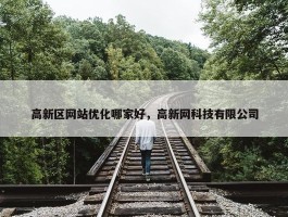 高新区网站优化哪家好，高新网科技有限公司