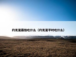 约克夏最怕吃什么（约克夏平时吃什么）