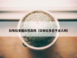 拉布拉多服从性高吗（拉布拉多忠于主人吗）