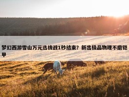 梦幻西游雪山万元选拔战1秒结束？新出极品物理不磨铠甲