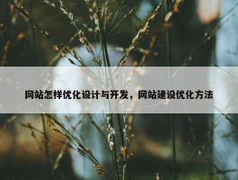 网站怎样优化设计与开发，网站建设优化方法