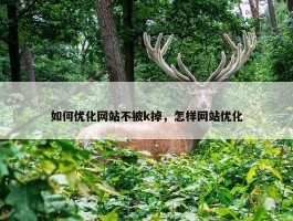 如何优化网站不被k掉，怎样网站优化