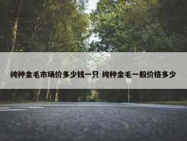 纯种金毛市场价多少钱一只 纯种金毛一般价格多少