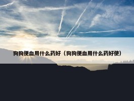 狗狗便血用什么药好（狗狗便血用什么药好使）