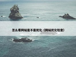 怎么看网站是不是优化（网站优化检查）