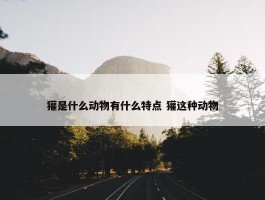 獾是什么动物有什么特点 獾这种动物