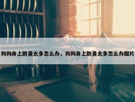 狗狗身上跳蚤太多怎么办，狗狗身上跳蚤太多怎么办图片