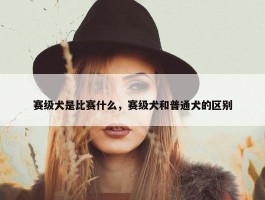 赛级犬是比赛什么，赛级犬和普通犬的区别