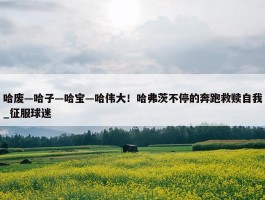 哈废—哈子—哈宝—哈伟大！哈弗茨不停的奔跑救赎自我_征服球迷