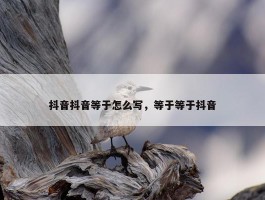 抖音抖音等于怎么写，等于等于抖音